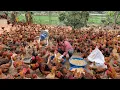 Download Lagu make your own feed for thousands of chickens. Egg harvesting - how to care for five day old chicks