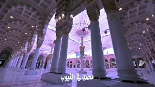 محمد يا رسول الله   ياسمين الخيام دندنها