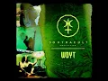 WDYT - Contracult Collective