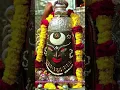 Download Lagu जय बोलो महाकाल की 🔱 Kalo Ke Bhi kal Ki Jai Bolo Mahakal Ki | Ujjain Mahakal #mahakal