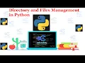 Python 035 Directory and Files Management in Python Hindi Priya Ranjan code academy