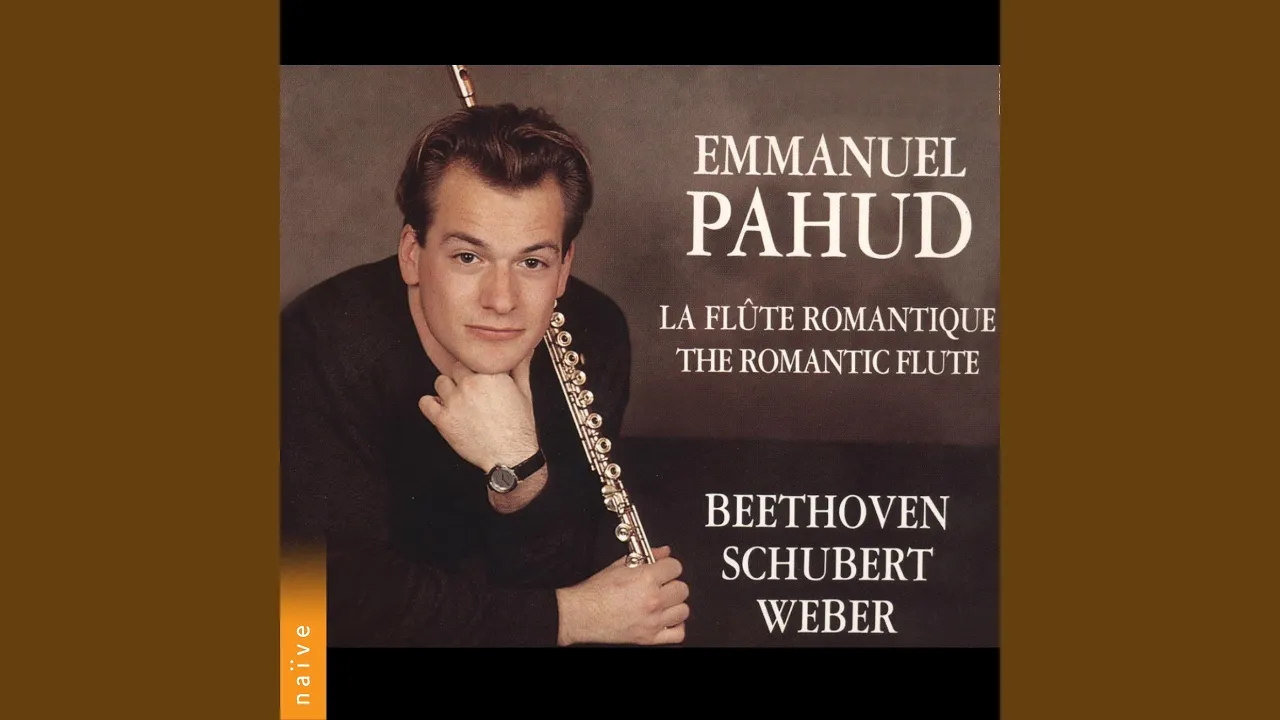 Sonate pour flûte in B-Flat Major, Anh. 4: I. Allegro Sonate pour flûte in B-Flat Major, Anh. 4: I. Allegro