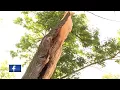 National Weather Service Tornado hit northeast of Campbellsport Monday evening