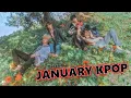 The BEST of January Kpop 2023