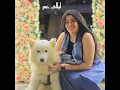 عمالة تخبط فيا