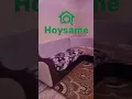 Download Lagu Guri kiro ah oo goglan hargeisa masalaha galbeed