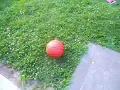 Extreme Stacked Ball Drop