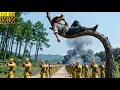 Lagu A top agent lie in ambush in the treetop and insanely take down 500 thugs—a high-energy action film