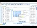 S01E04-1-4 SPSS Basics - Case numbering as variable Respondent ID