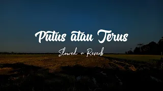 Download Putus atau Terus ( Slowed + Reverb ) MP3