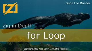 Zig in Depth for Loop