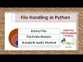 Working With Binary Files The Pickle Module dump load method