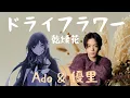 Download Lagu Ado \u0026 優里 ドライフラワー 乾燥花 Dry Flower【中日字幕】🐜【白蟻の音楽分享】