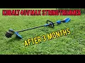 Kobalt 40v max Brushless String Trimmer After 3 Months - Rip Queen elizabeth