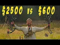 Download Lagu $600 Bow VS $2,500 Bow