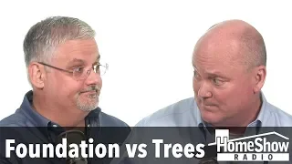 What damage can crepe myrtles do to my foundation