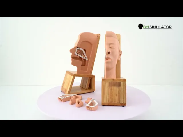 E001 หุ่นฝึกการห้ามเลือดภายในโพรงจมูก (แบบครึ่งซีกขวา) / Nasal Packing  Model  (Half Face - Right)