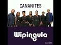 Lagu THE CANANITE VOCALS-Wipingula