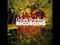 Bird Sound Serenity
