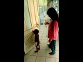 Download Lagu cepat sembuh sayang