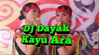Download Viral DJ Kayu Ara Lagu Dayak Moderen 2020 MP3