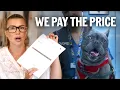 The Hidden Cost of the Perfect Pet