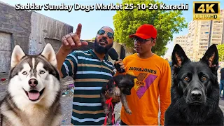 Saddar Sunday Dogs Market 25-10-26 Karachi | The Dog Market remained affected this Sunday