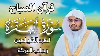 قرآن الصباح   سورة البقرة لحفظ وتحصين المنزل   بصوت الشيخ ياسر الدوسري   جودة عالية دندنها