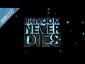 Lagu Bigroom Never Dies (LEANDRO Intro Edit)