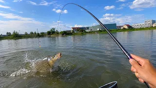 Adding THIS Secret Ingredient to Fish Bait Changed Everything! 🤯