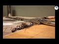 Escape It Grandview Escape Room Near Me Fun Things to Do in Columbus Ohio Team Building