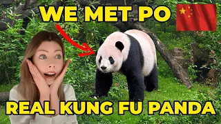 欧洲女友第一次在中国见到熊猫，彻底爱上了它们