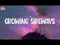 Growing Sideways - Noah Kahan (Lyrics)