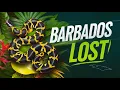 The Barbados Racer Snake Lost from Caribbean Islands