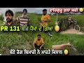 Download Lagu PR 131 ਬੀਜ ਨੇ ਜਮਾ ਹੀ ਰਗੜ ਤੇ \
