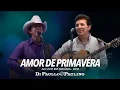 Download Lagu Di Paullo e Paulino - Amor De Primavera - Ao Vivo em Goiânia - Di Paullo \u0026 Paulino