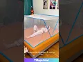 Download Lagu INSTANT Mosquito Fort! 🤯 This Bed Gadget is LIFE CHANGING! #gadget #lifehack #mosquito #amazing