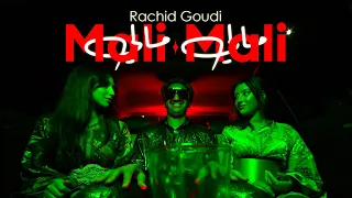 GOUDI RACHID Mali Mali مالي مالي Official Music Video 