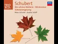 Schubert: Schwanengesang, D. 957: Die Taubenpost, D. 965a
