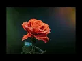 She Don't Love Me Anymore - Jay Fung (Cantonese Version)
