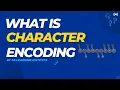 What is character encoding Character encoding kya hai