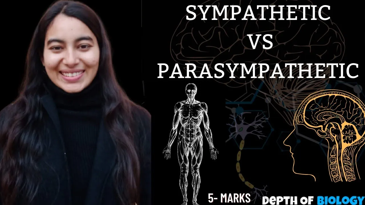 sympathetic and parasympathetic || sympathetic and parasympathetic nervous system b pharmacy #sgsir