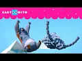 Download Lagu OS LEMMINGS SE JUNTAM A GRIZZY | GRIZZY \u0026 THE LEMMINGS | CARTOONITO