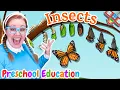 Preschool Learning Patterns Cycles w INSECTS Kids Education Free Printable Worksheets