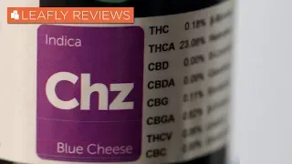 Gleaf Blue Cheese - Leafly Reviews