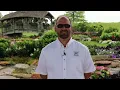 Proven Winners 2022 New Varieties