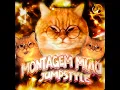 [Lenar] Montagem Miau Jumpstyle (Ultra Slowed]