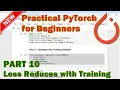 PyTorch Beginner Tutorial - Part 10 Ensure Loss Reduces With Training