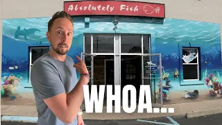 So Many Aquarium Fish at Absolutely Fish Aquarium Store Tour Review