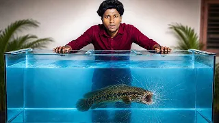 Releasing a 2 FT Monster in Our 7 FT Tank Went WRONG! 😭💔/JENISH KJ